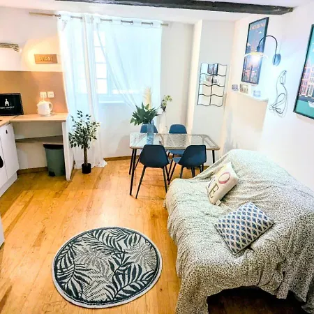 Cosy Leaf Planta - 1 - Hypercentre - Pau