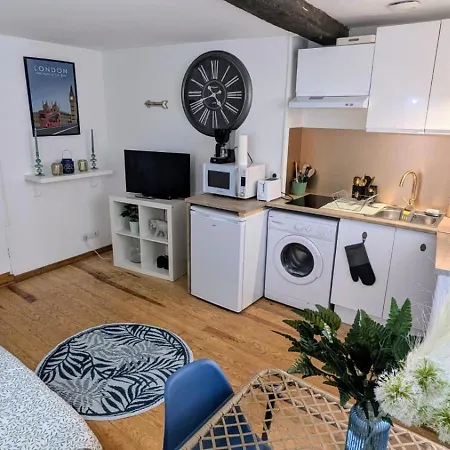 Appartement Cosy Leaf Planta - 1 - Hypercentre - Pau