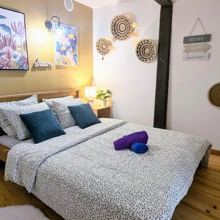 Appartement Cosy Leaf Planta - 1 - Hypercentre - *