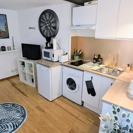 Cosy Leaf Planta - 1 - Hypercentre - Appartement Pau