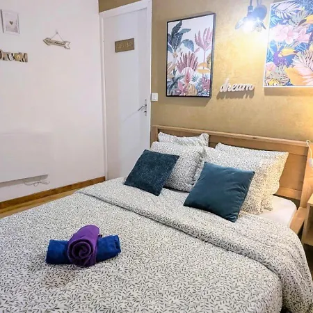 Appartement Cosy Leaf Planta - 1 - Hypercentre - *
