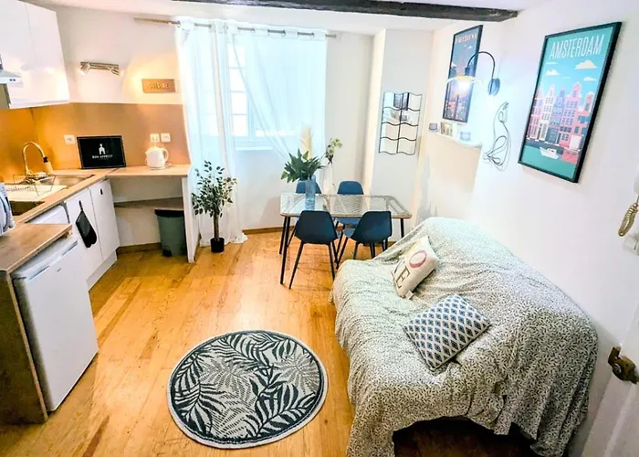 Cosy Leaf Planta - 1 - Hypercentre - Pau