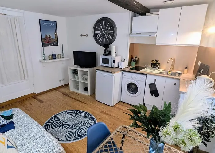Appartement Cosy Leaf Planta - 1 - Hypercentre - Pau