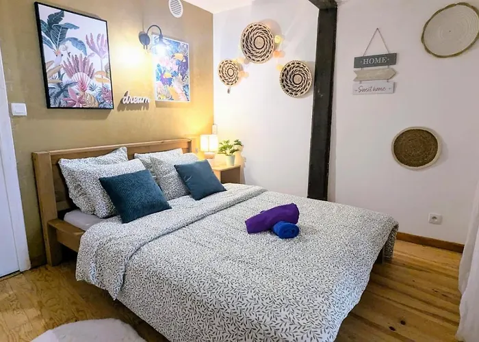 Appartement Cosy Leaf Planta - 1 - Hypercentre - *