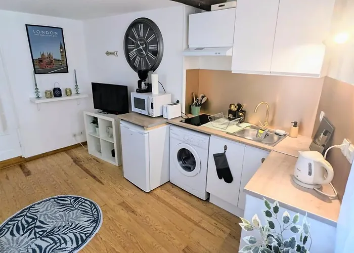 Cosy Leaf Planta - 1 - Hypercentre - Appartement Pau
